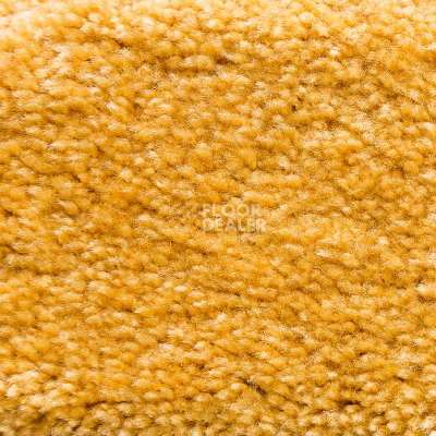 Ковролин AW Masquerade Gaudia 54 фото 1 | FLOORDEALER